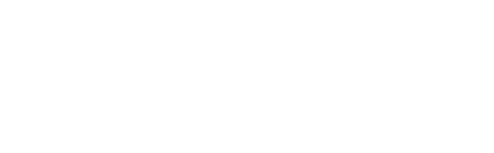 Fortis Teknologi Nusantara